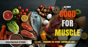 Fruit and Muscle Growth: Unlocking the Benefits for Strength and Recovery