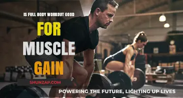 Full Body Workouts: Effective Strategy for Muscle Gain and Strength?