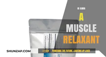Is GABA a Muscle Relaxant? Exploring Its Role and Benefits