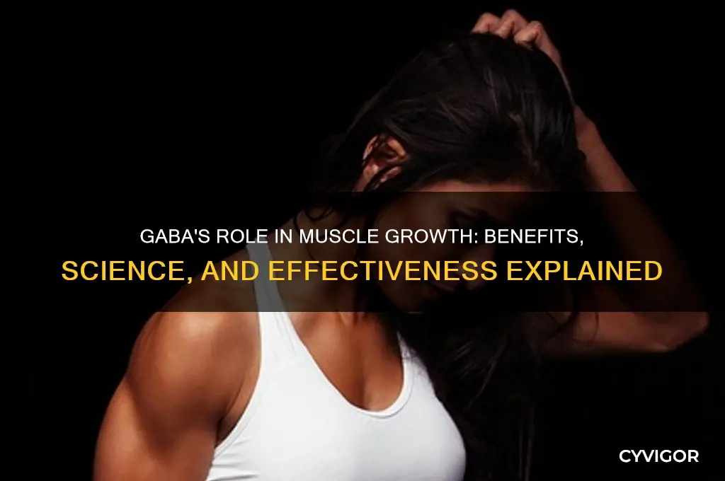 is gaba good for muscle growth