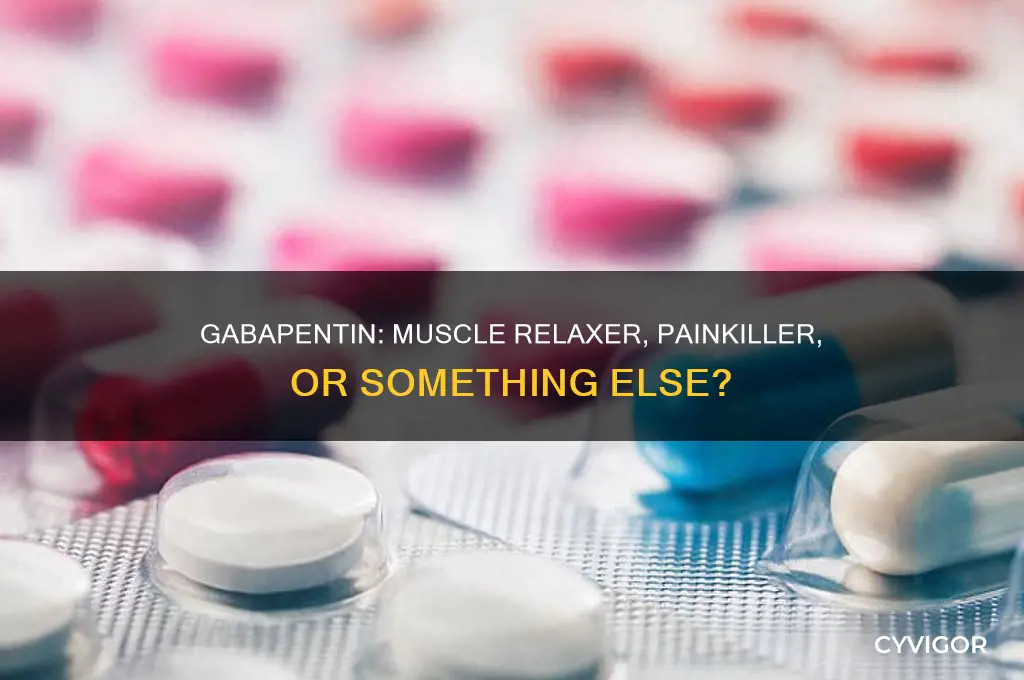is gabapentin a muscle relaxer or painkiller