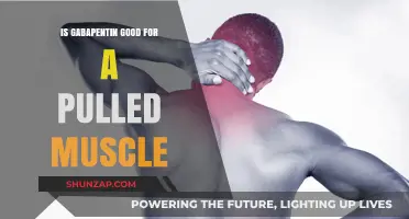 Gabapentin for Pulled Muscles: Effective Relief or Overhyped Remedy?