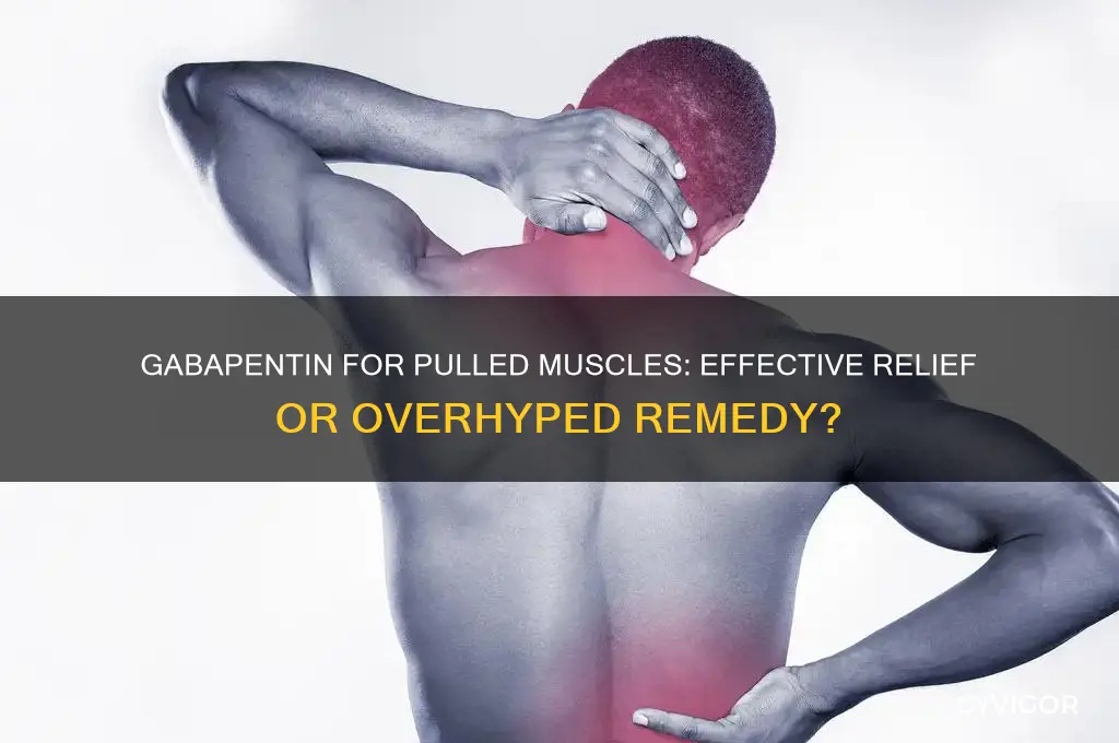 is gabapentin good for a pulled muscle