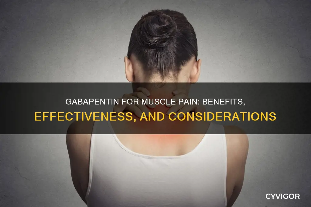 is gabapentin good for muscle pain