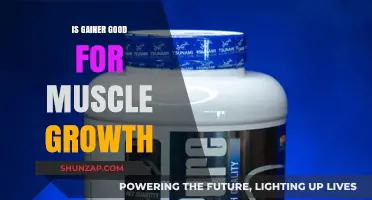 Is Gainer Effective for Muscle Growth? A Comprehensive Analysis
