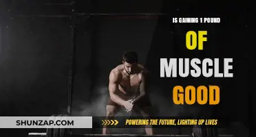 Is Gaining 1 Pound of Muscle a Worthwhile Fitness Goal?