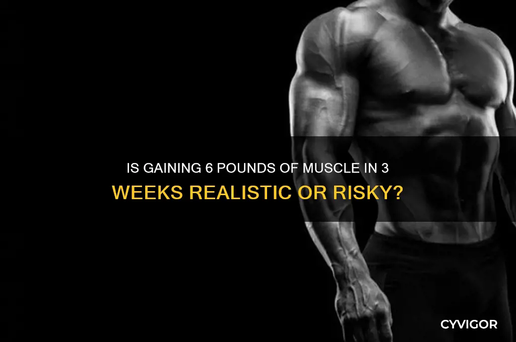 is gaining 6 punds of muscle in 3 weeks good