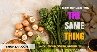 Muscle Gain vs. Toning: Understanding the Key Differences