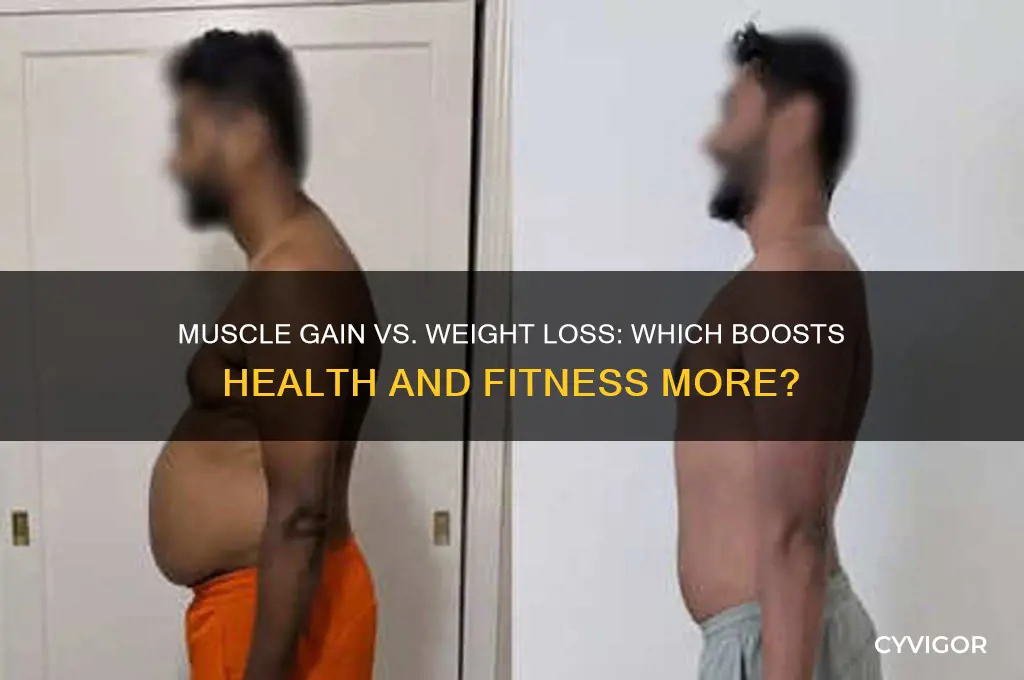 is gaining muscle better than losing weight