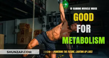 Muscle Mass and Metabolism: Boosting Your Body's Efficiency