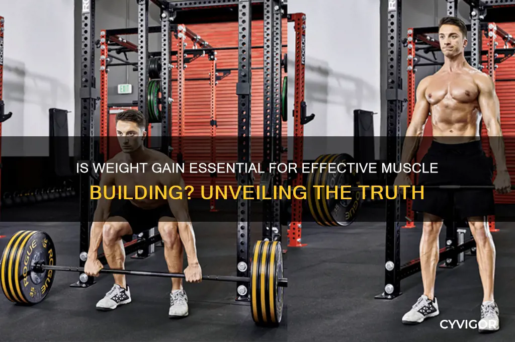 is gaining weight good for muscle building