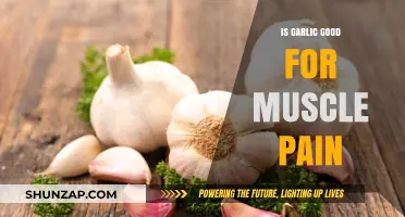 Garlic's Surprising Benefits: Can It Relieve Muscle Pain Naturally?