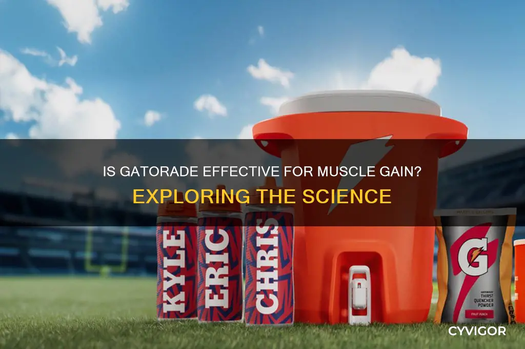is gatorade good for gaining muscle