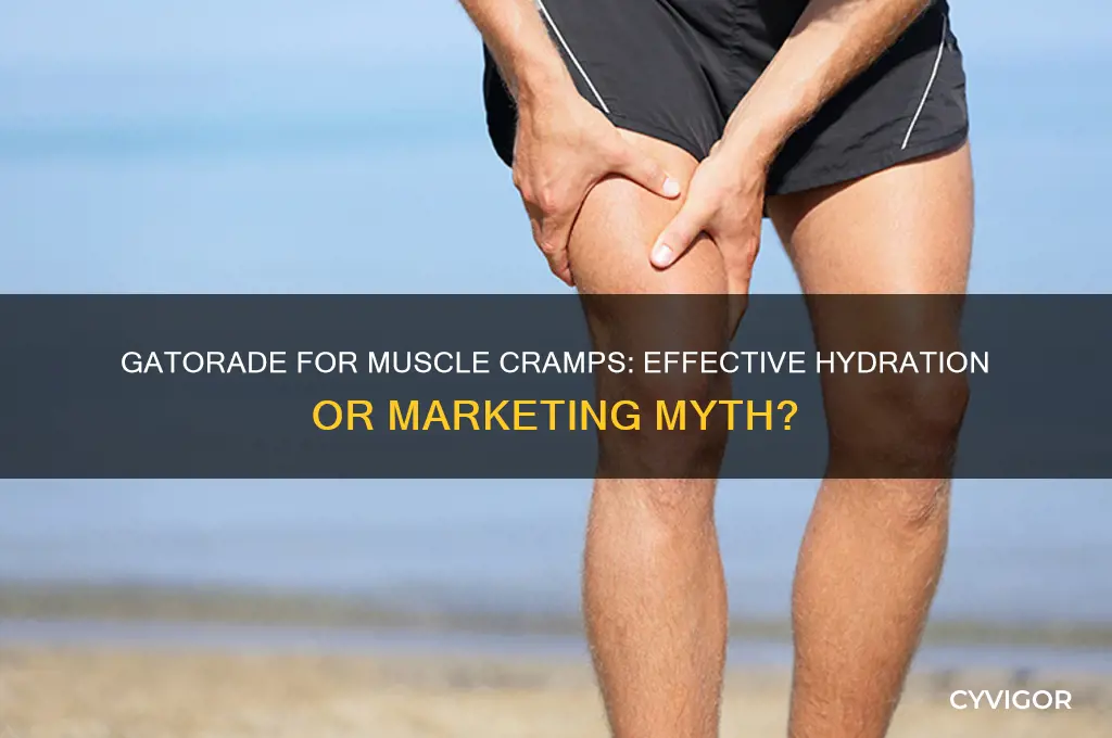 is gatorade good for muscle cramps