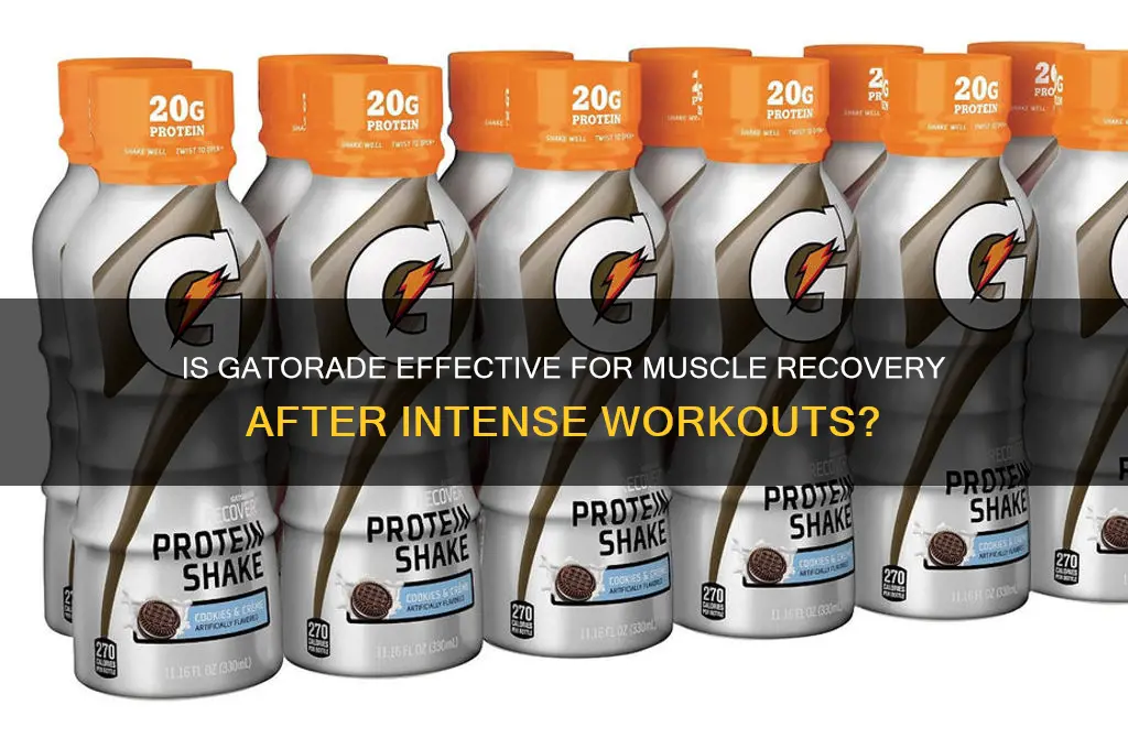 is gatorade good for muscle recovery