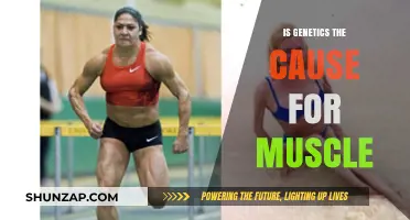 Genetics and Muscle Growth: Nature's Role