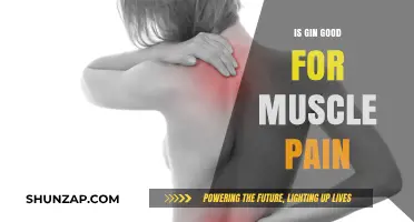 Gin for Muscle Pain: Fact or Fiction? Exploring the Benefits