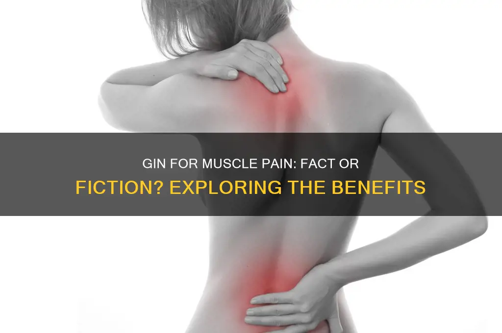 is gin good for muscle pain