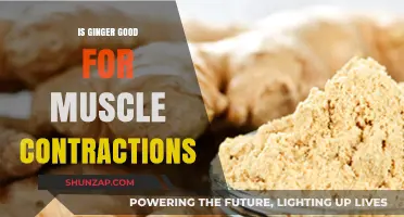 Ginger's Role in Easing Muscle Contractions: Benefits and Uses