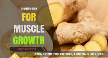 Ginger's Role in Muscle Growth: Fact or Fiction?