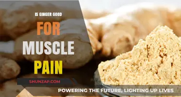 Ginger's Natural Power: Relieving Muscle Pain and Inflammation Effectively