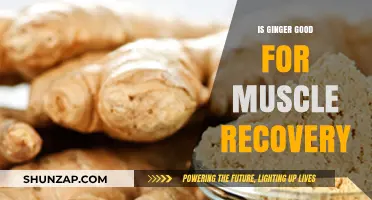 Ginger's Role in Muscle Recovery: Benefits and Evidence Explained