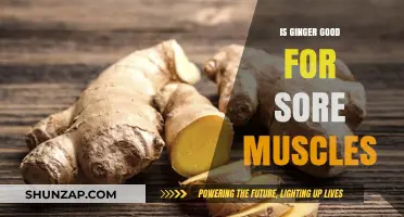 Ginger's Healing Power: Relieving Sore Muscles Naturally and Effectively