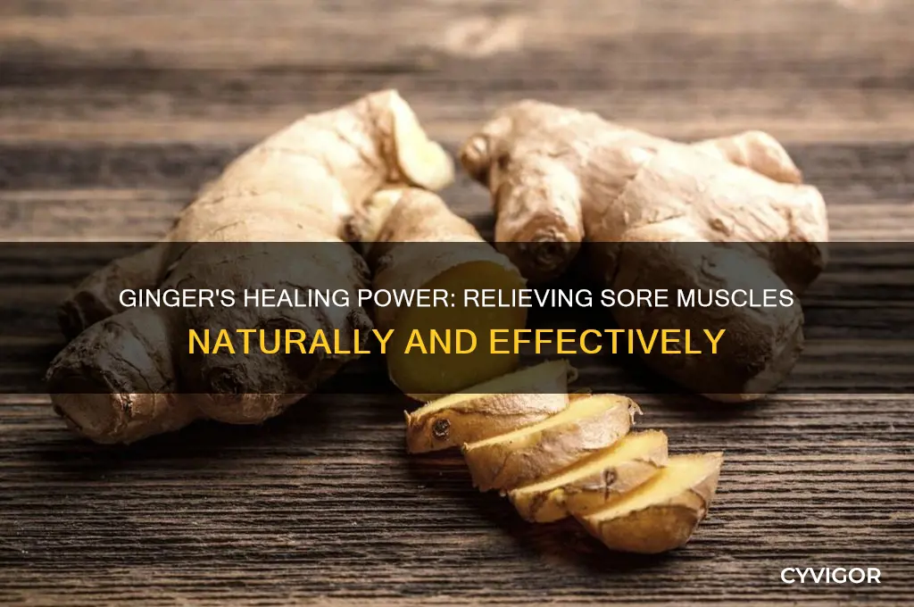is ginger good for sore muscles