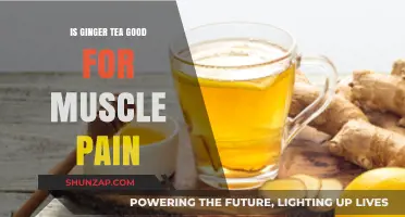Ginger Tea Benefits: Natural Relief for Muscle Pain and Recovery