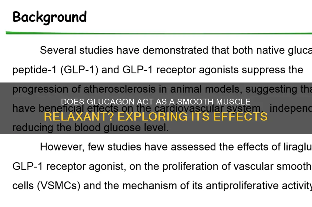 is glucagon a smooth muscle relaxer