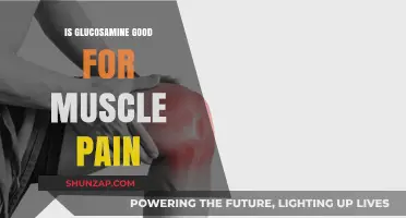 Glucosamine for Muscle Pain: Effective Relief or Just a Myth?