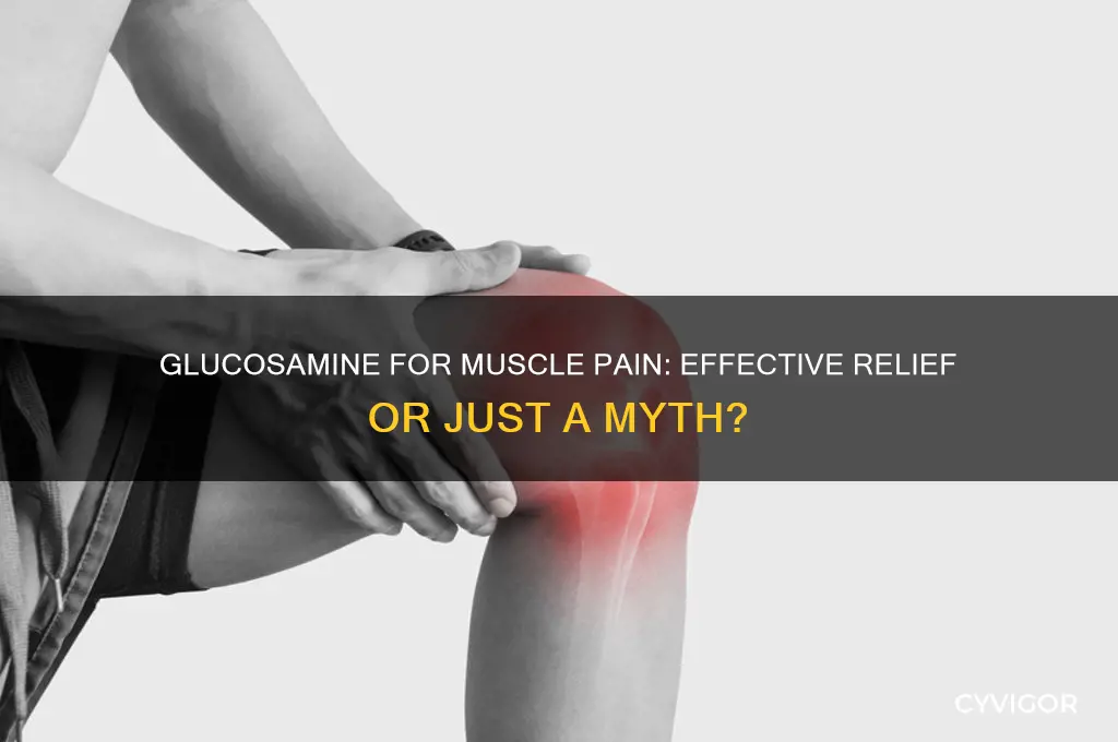 is glucosamine good for muscle pain
