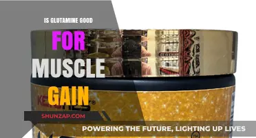 Glutamine for Muscle Gain: Benefits, Science, and Effective Usage