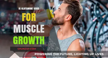 Glutamine for Muscle Growth: Benefits, Science, and Optimal Use