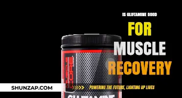Glutamine's Role in Muscle Recovery: Benefits, Timing, and Dosage