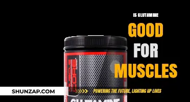 Glutamine Benefits: Enhancing Muscle Recovery, Growth, and Performance