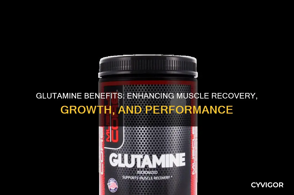 is glutamine good for muscles