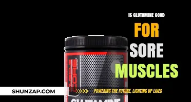 Glutamine for Muscle Recovery: Easing Soreness and Speeding Healing