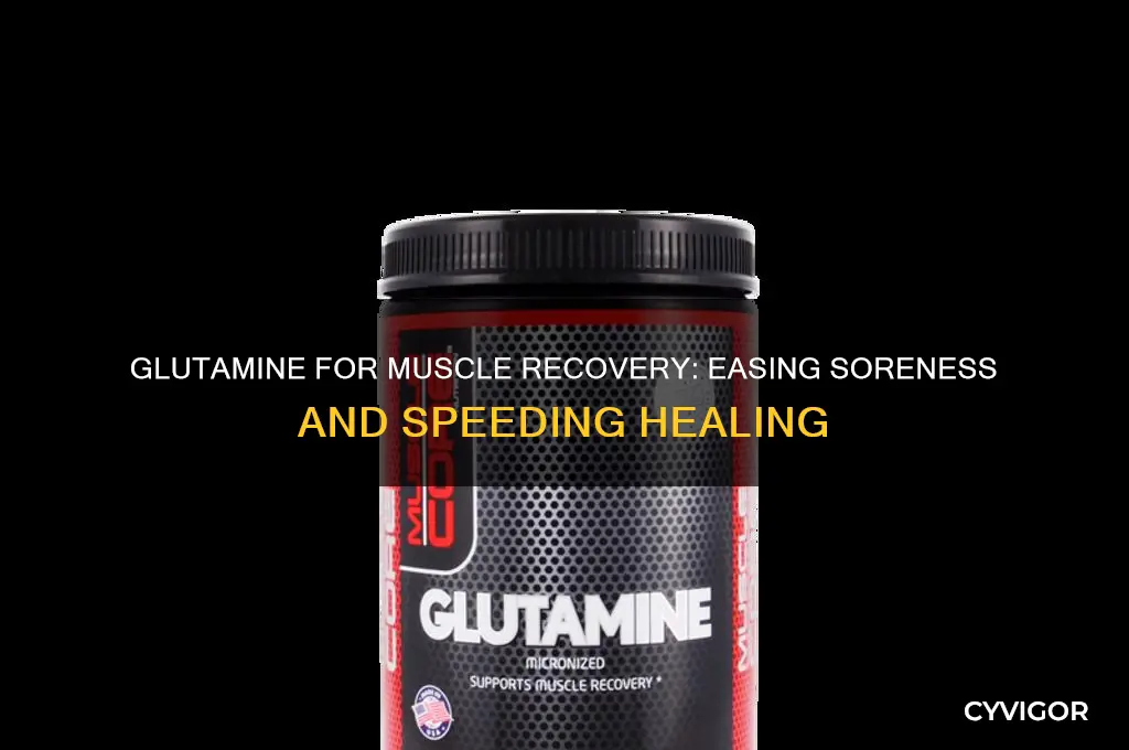 is glutamine good for sore muscles