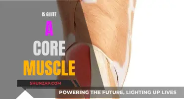Glute: Core Muscle or Not?