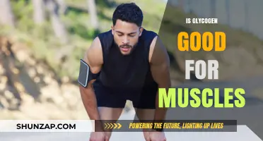 Glycogen's Role in Muscle Performance: Benefits and Importance Explained
