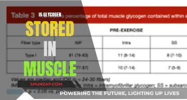 Muscle Glycogen Storage: What, Why, and How?
