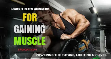 Daily Gym Workouts: Muscle Gain Myth or Overkill?