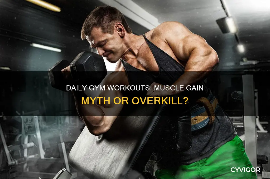 is going to the gym everyday bad for gaining muscle