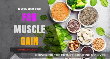 Vegan Muscle Gain: Myths, Benefits, and Effective Strategies for Strength