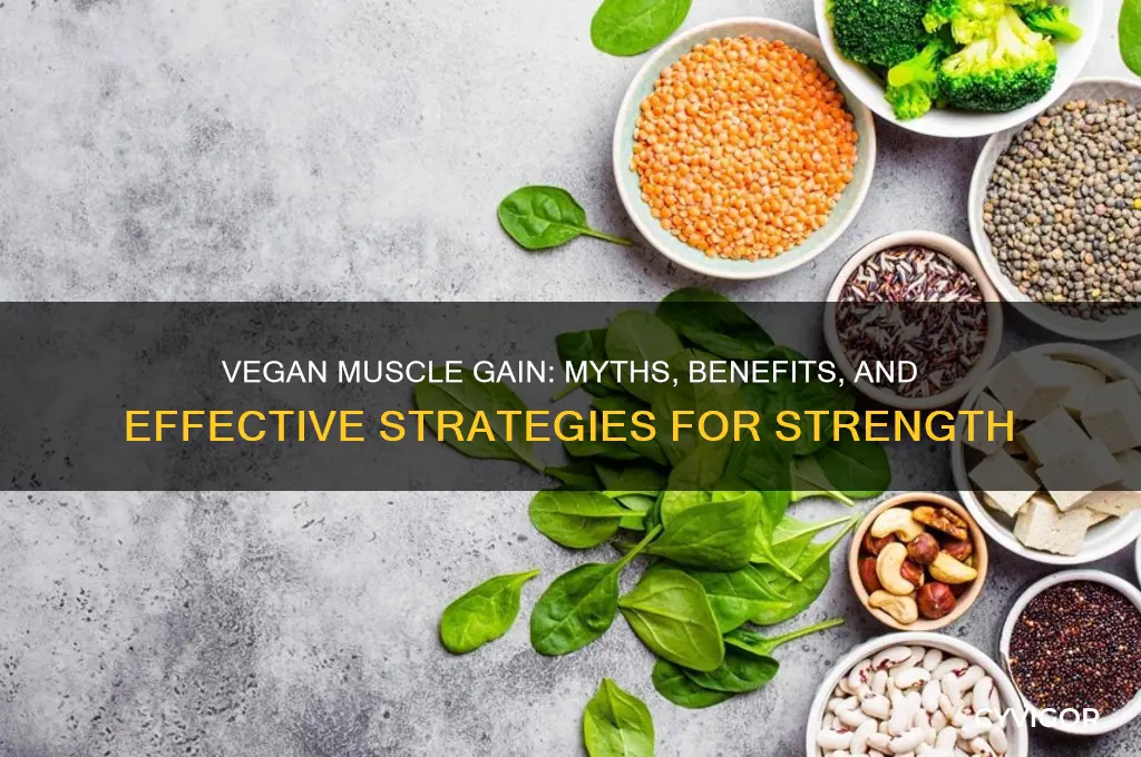 is going vegan good for muscle gain
