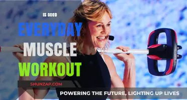 Is Daily Muscle Training Beneficial for Overall Fitness and Strength?