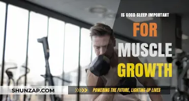 Sleep and Muscle Growth: Unlocking the Power of Rest for Gains