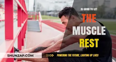 Rest for Growth: Why Muscle Recovery is Essential for Fitness