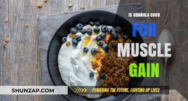 Granola for Muscle Gain: A Nutritious Boost or Myth?